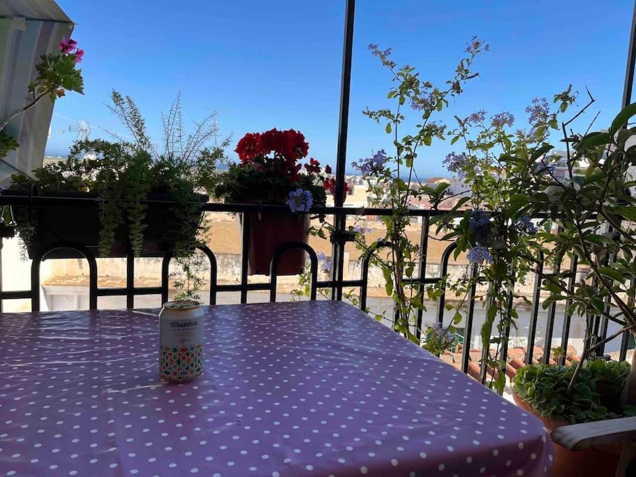 Apartament Amazing Sea And Mountain View! Casita Pinata Salobreña Zewnętrze zdjęcie
